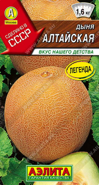 Melon de "Altai"